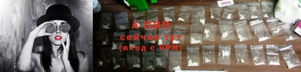 дмт Россошь