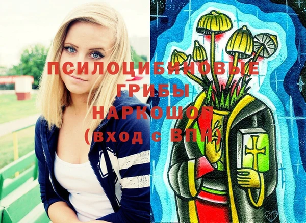 ГАЛЛЮЦИНОГЕННЫЕ ГРИБЫ Туринск