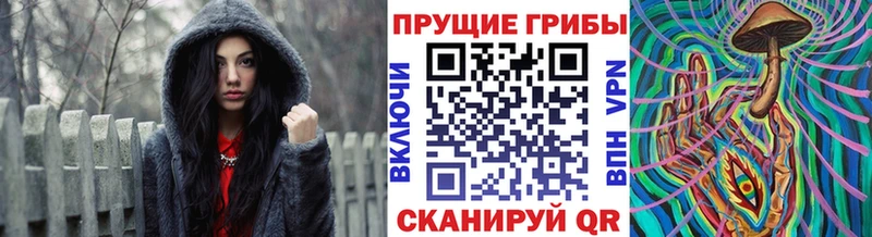Псилоцибиновые грибы ЛСД  Новопавловск 